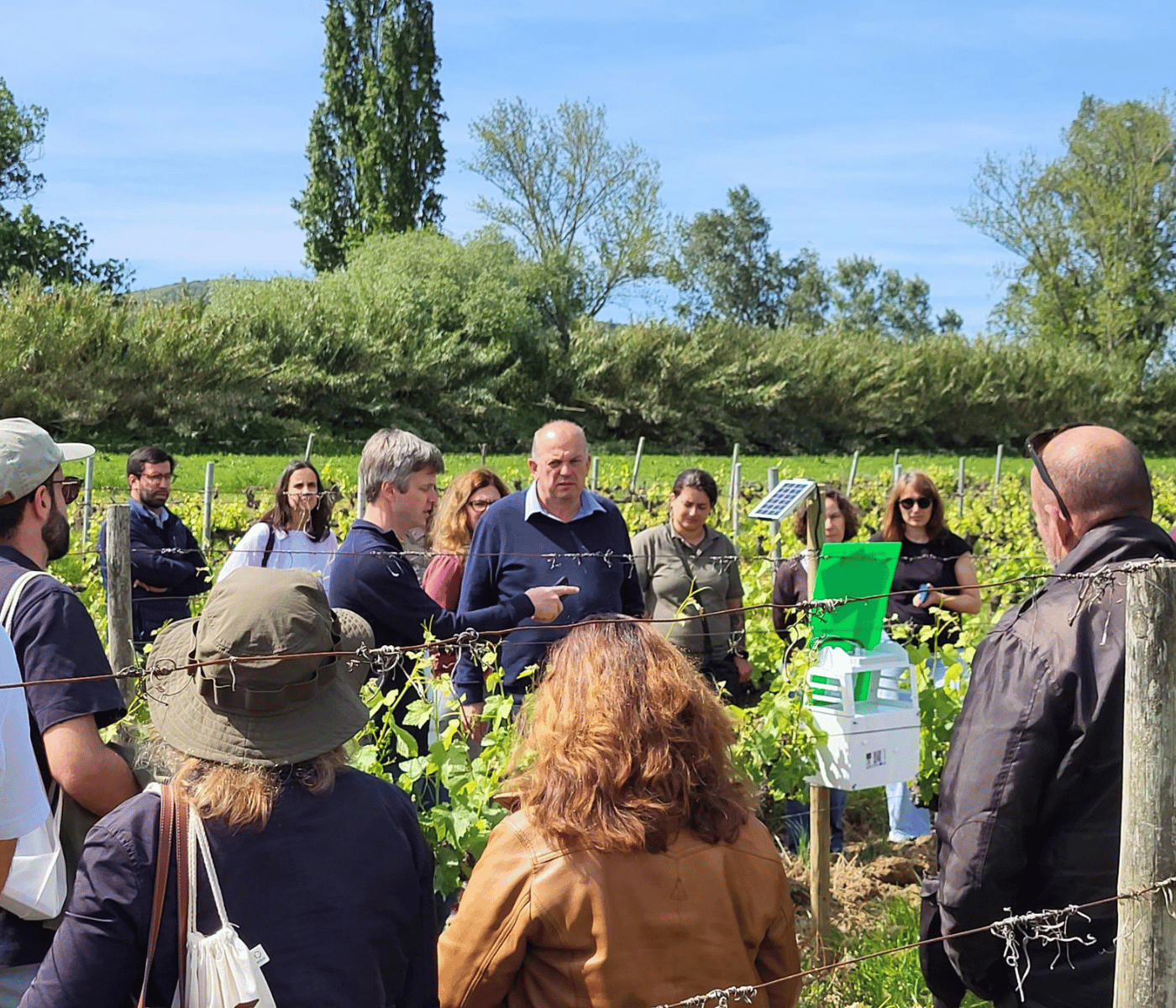 Trapview Customer Success team training new users in Portugal - SLIT SC in vineyard.