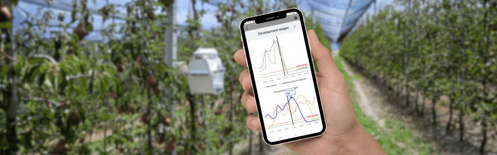 Daily updated analytics in Trapview app with its smart trap in the background