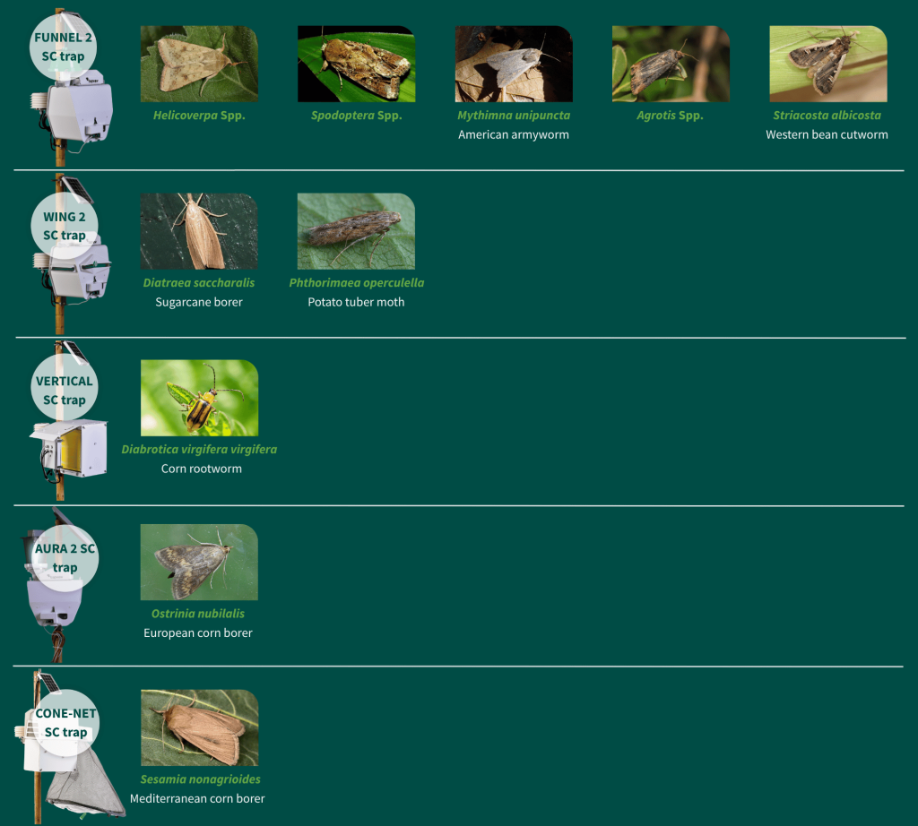 Trapview monitoring pest in row crops: Ostrinia nubilalis (European corn borer), Helicoverpa Spp., Spodoptera Spp. (armyworms), Diatraea saccharalis (Sugarcane borer), Mythimna unipuncta (American armyworm), Agrotis Spp. (cutworms), Diabrotica virgifera virgifera (Corn rootworm), Phthorimaea operculella (Potato tuber moth), Striacosta albicosta (Western bean cutworm), Sesamia nonagrioides (Mediterranean corn borer) with traps: FUNNEL 2 SC, AURA 2 SC, VERTICAL SC, CONE-NET SC, WING 2 SC.