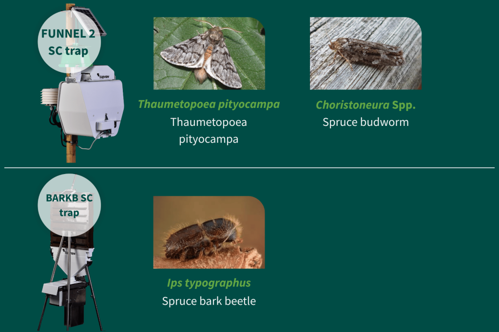 Trapview Forestry Ips typographus (Spruce bark beetle), Thaumetopoea pityocampa (Pine processionary moth), Choristoneura spp. (Spruce budworm) Traps: BARKB SC, FUNNEL 2 SC.
